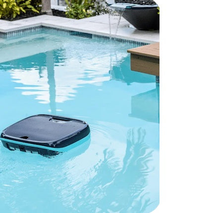 Dolphin Skimmi Robotic Surface Pool Cleaner