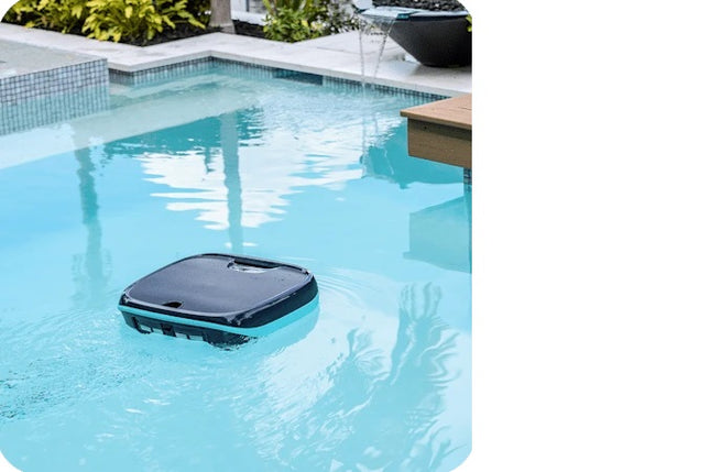 Dolphin Skimmi Robotic Surface Pool Cleaner
